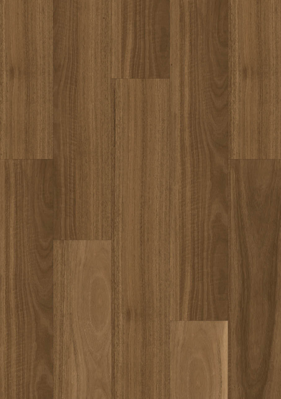 Spotted Gum Traditional