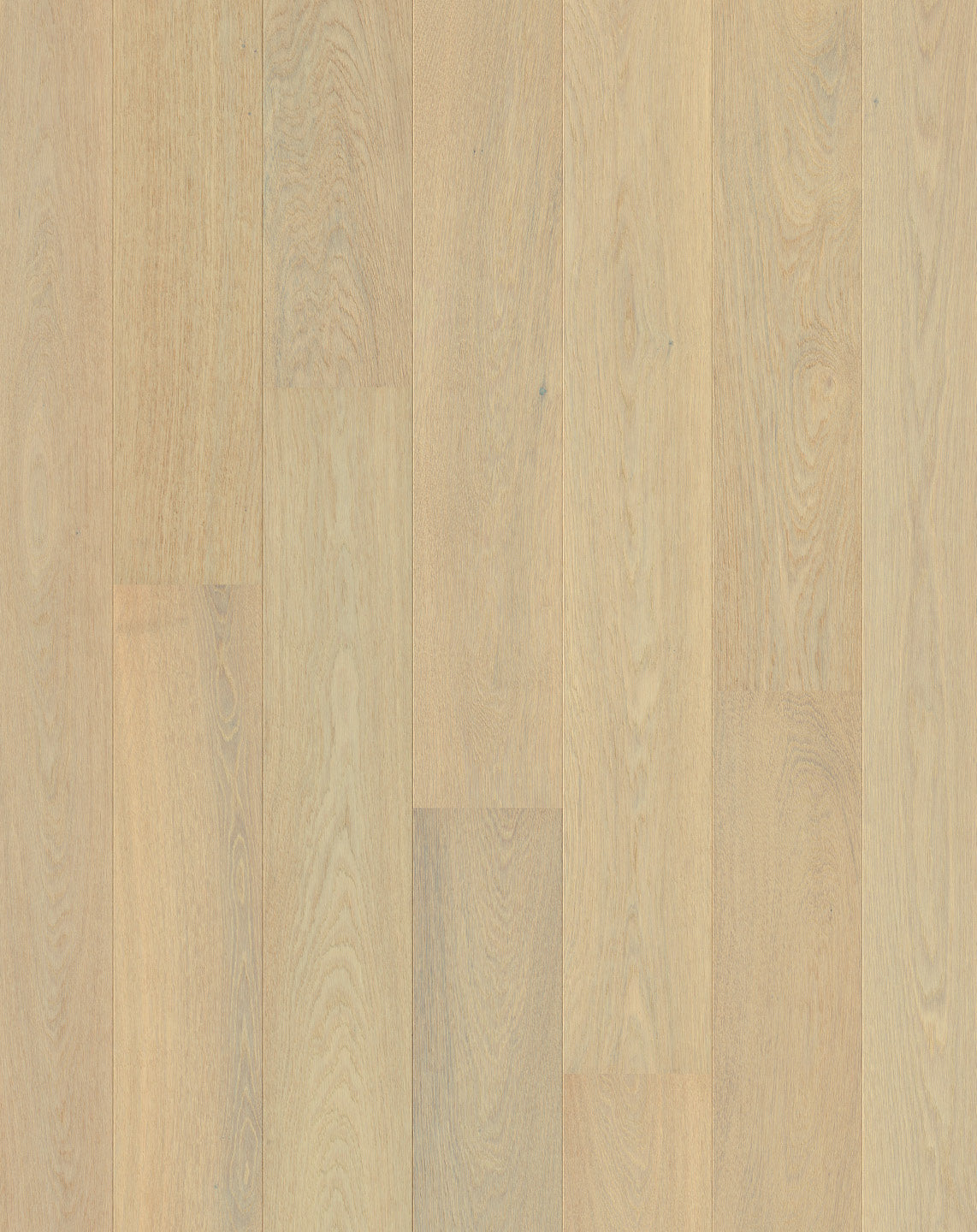 Creamy White Oak