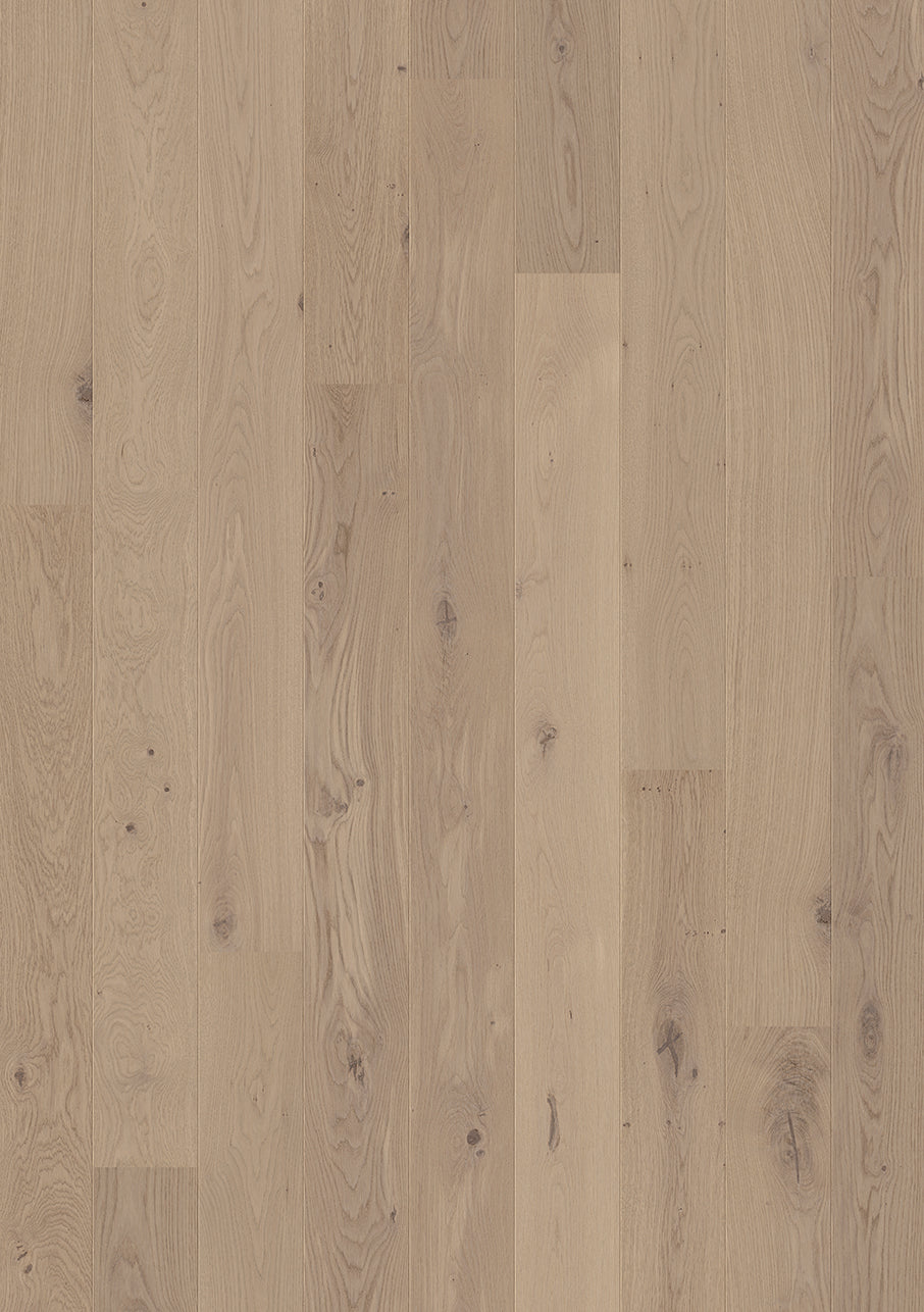 Cliff Grey Oak Extra Matt