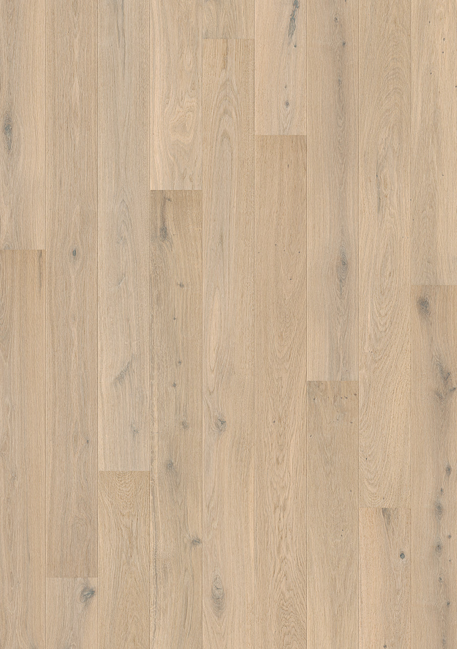 Creamy White Oak Extra Matt