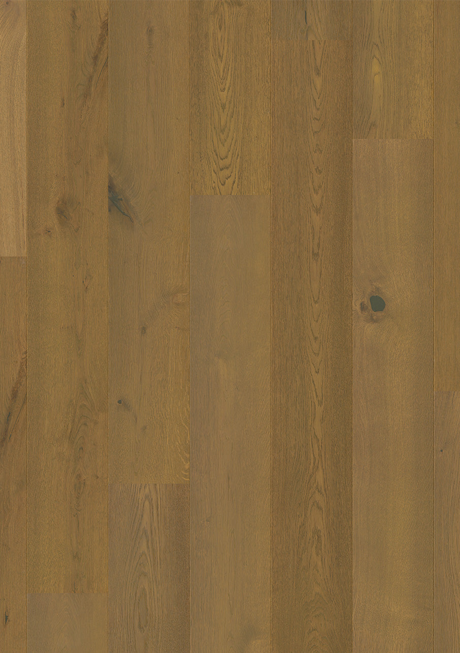 Clay Brown Oak