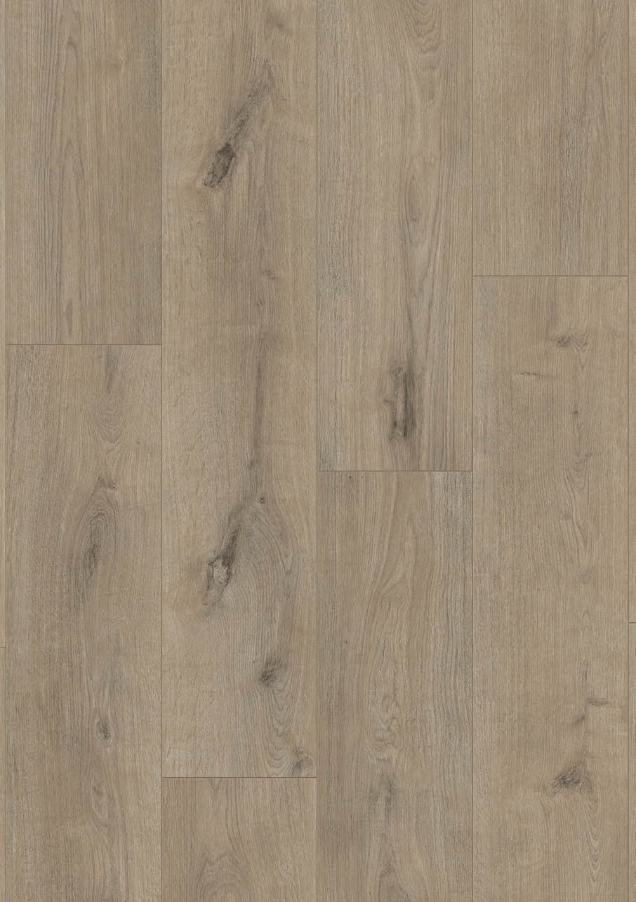 Grey Scottish Oak