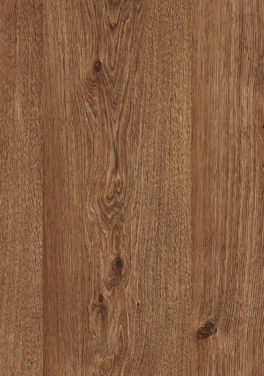 Truncus Oak 190