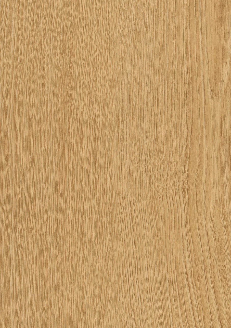 Otium Oak 345