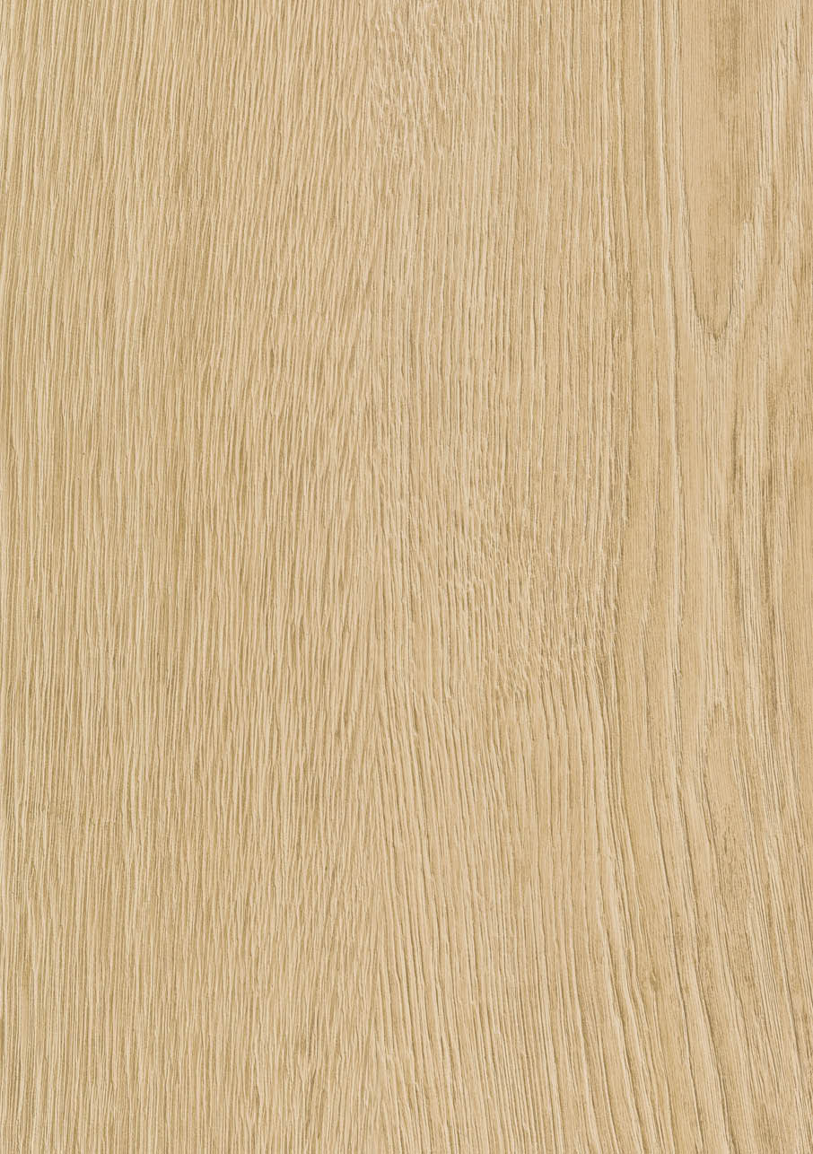 Otium Oak 462