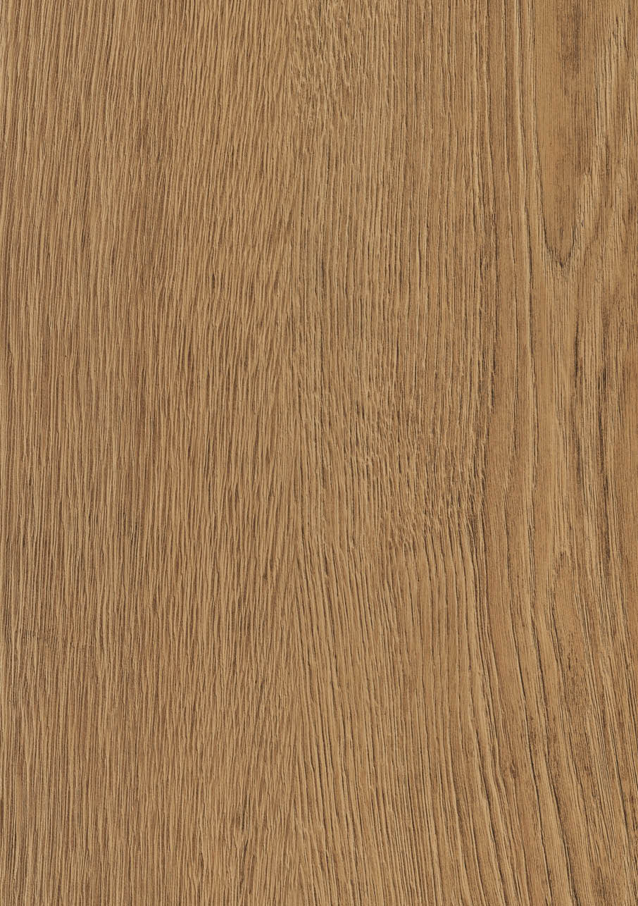 Otium Oak 862