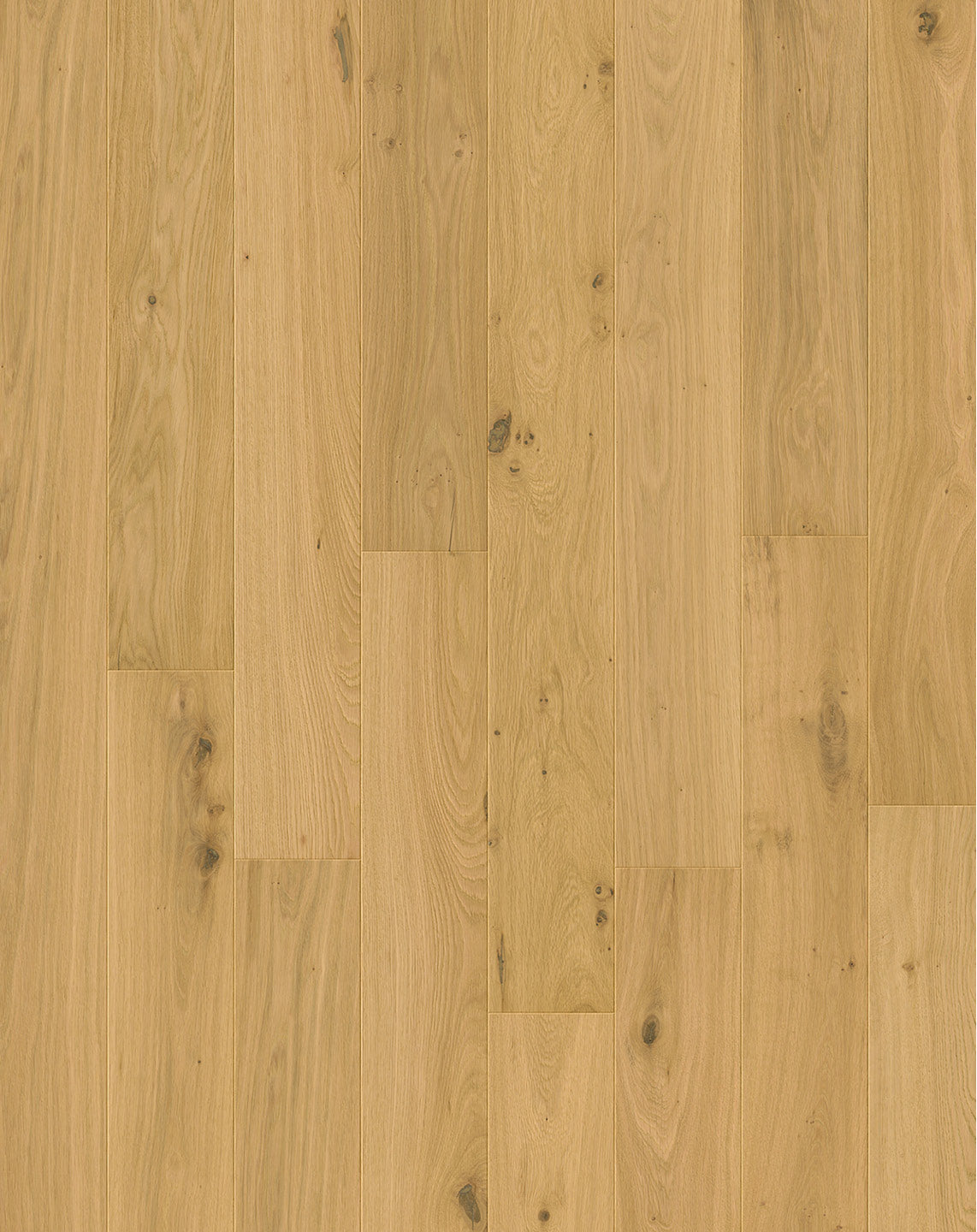 Light Pure Oak