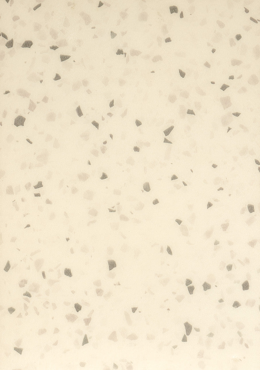 Terrazzo Matera Graphite