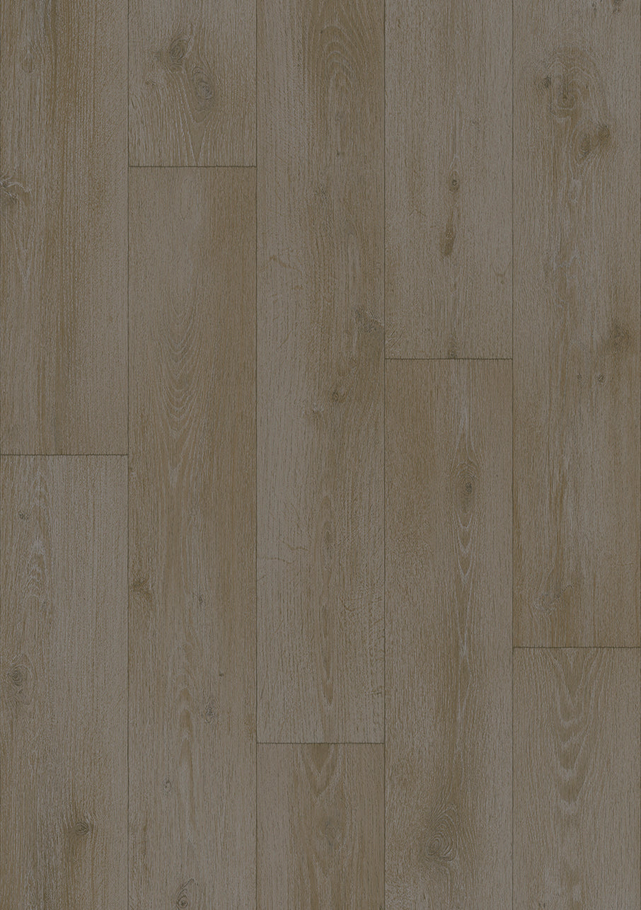 Forest Oak 021L