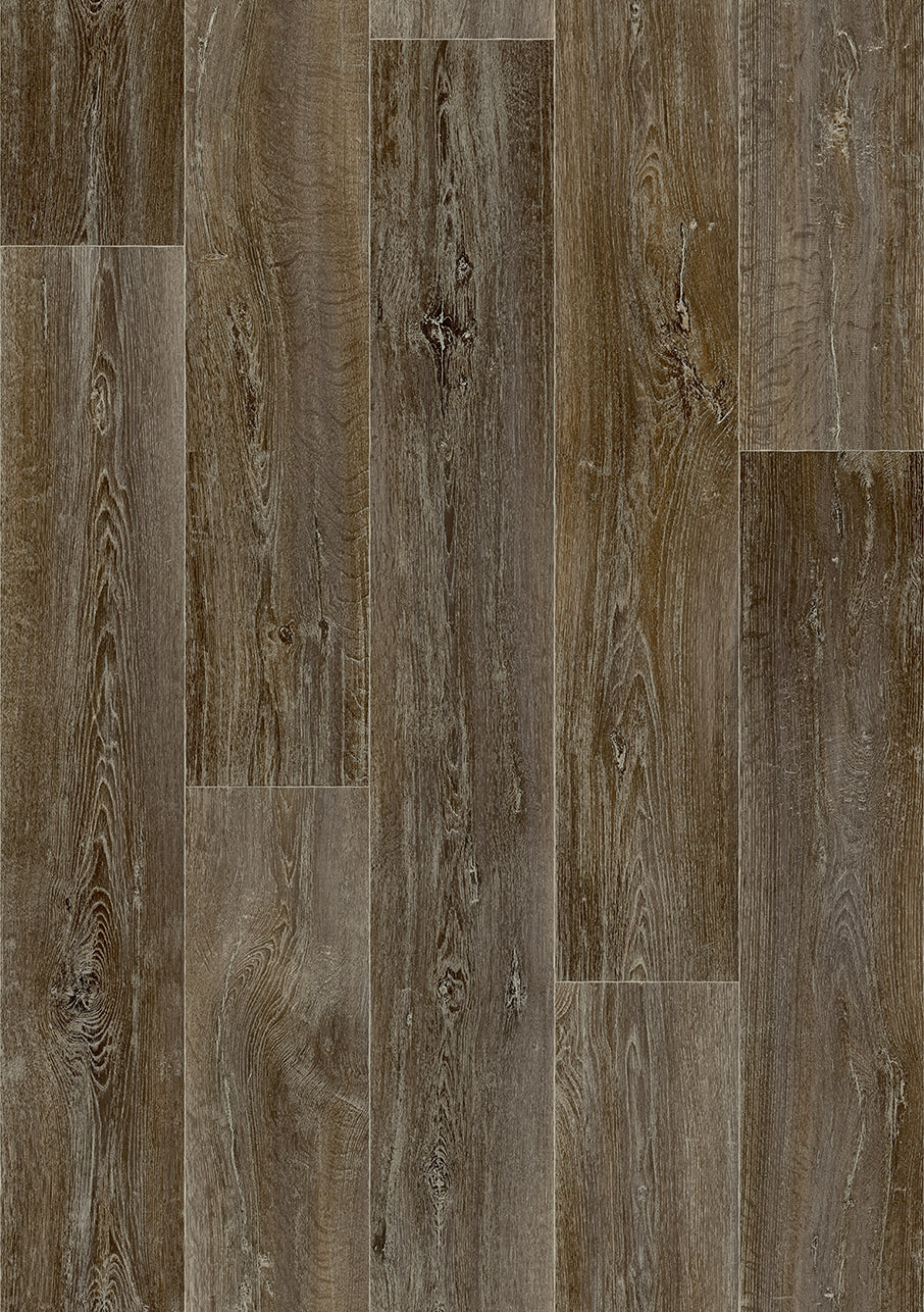 Lime Oak 906D