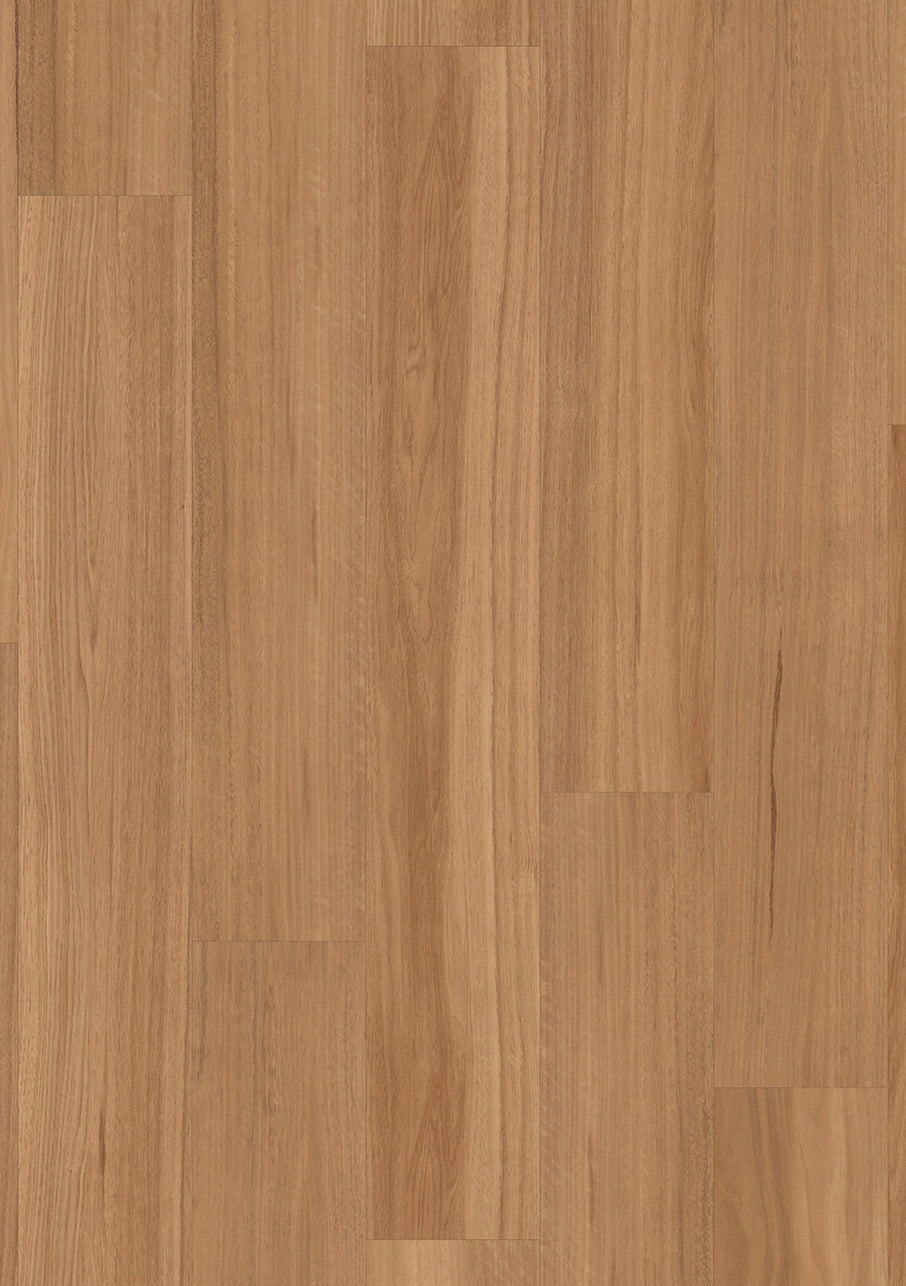 Classic Spotted Gum