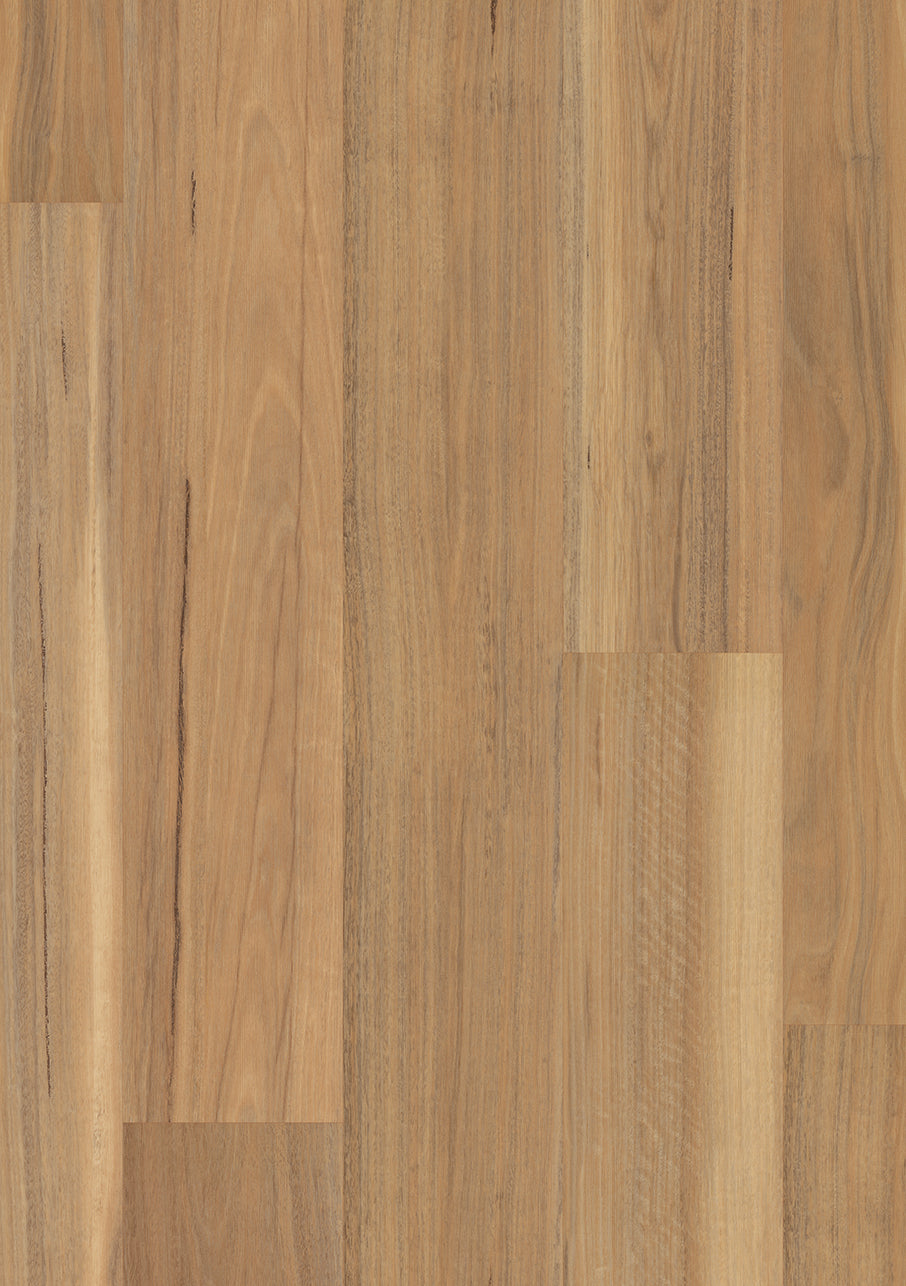 Weathered Spotted Gum