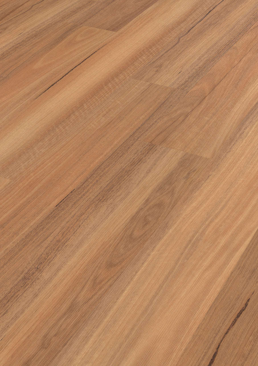 Northern Spotted Gum