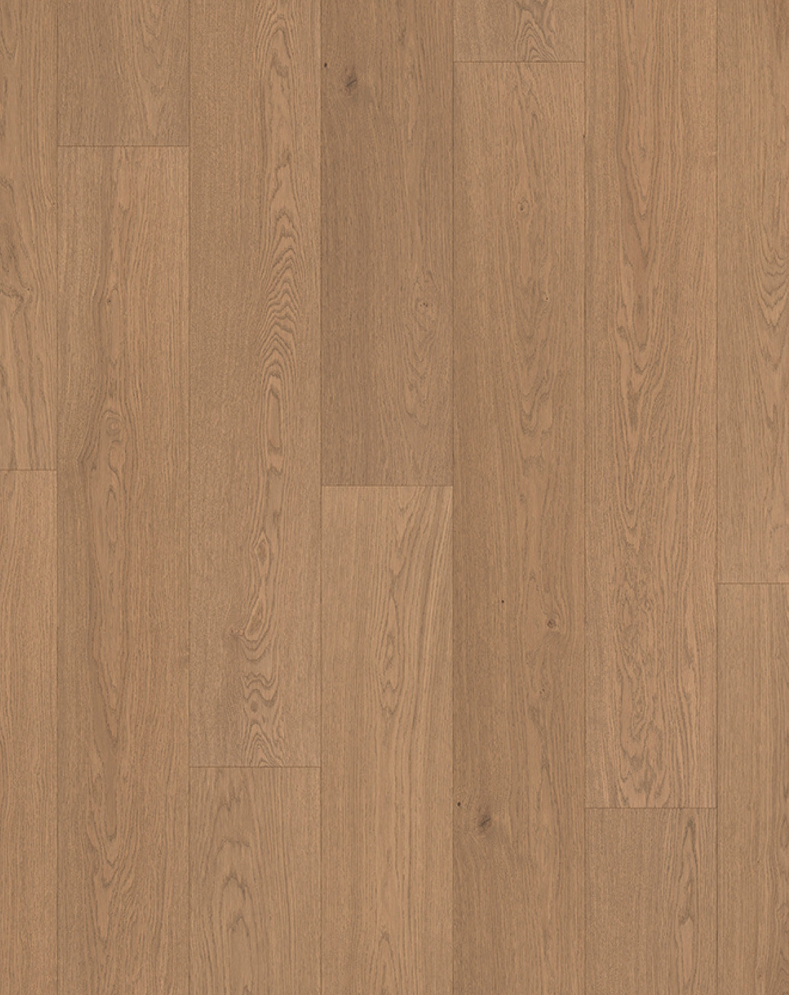 Sahara Oak Rustic