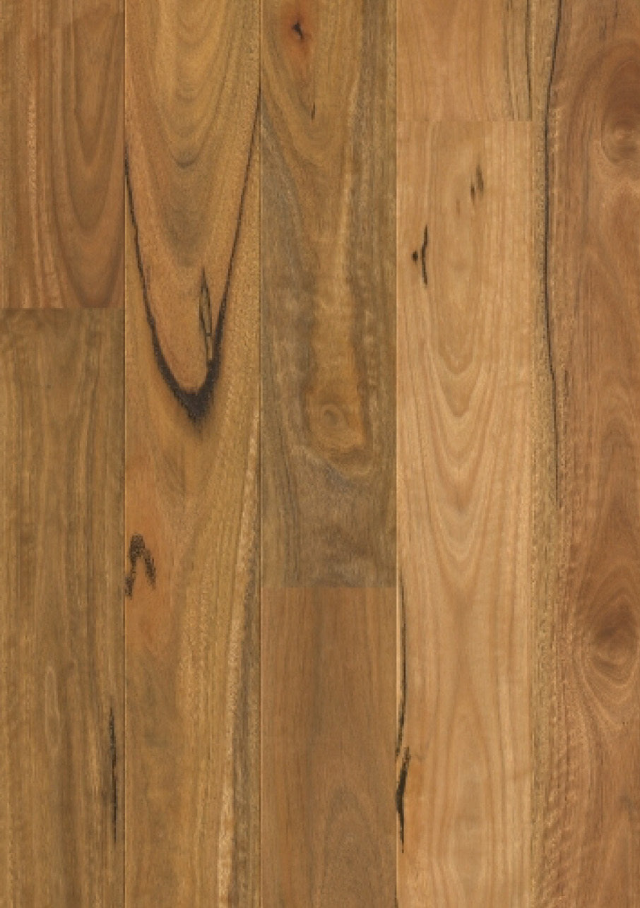 Spotted Gum Matt Finish