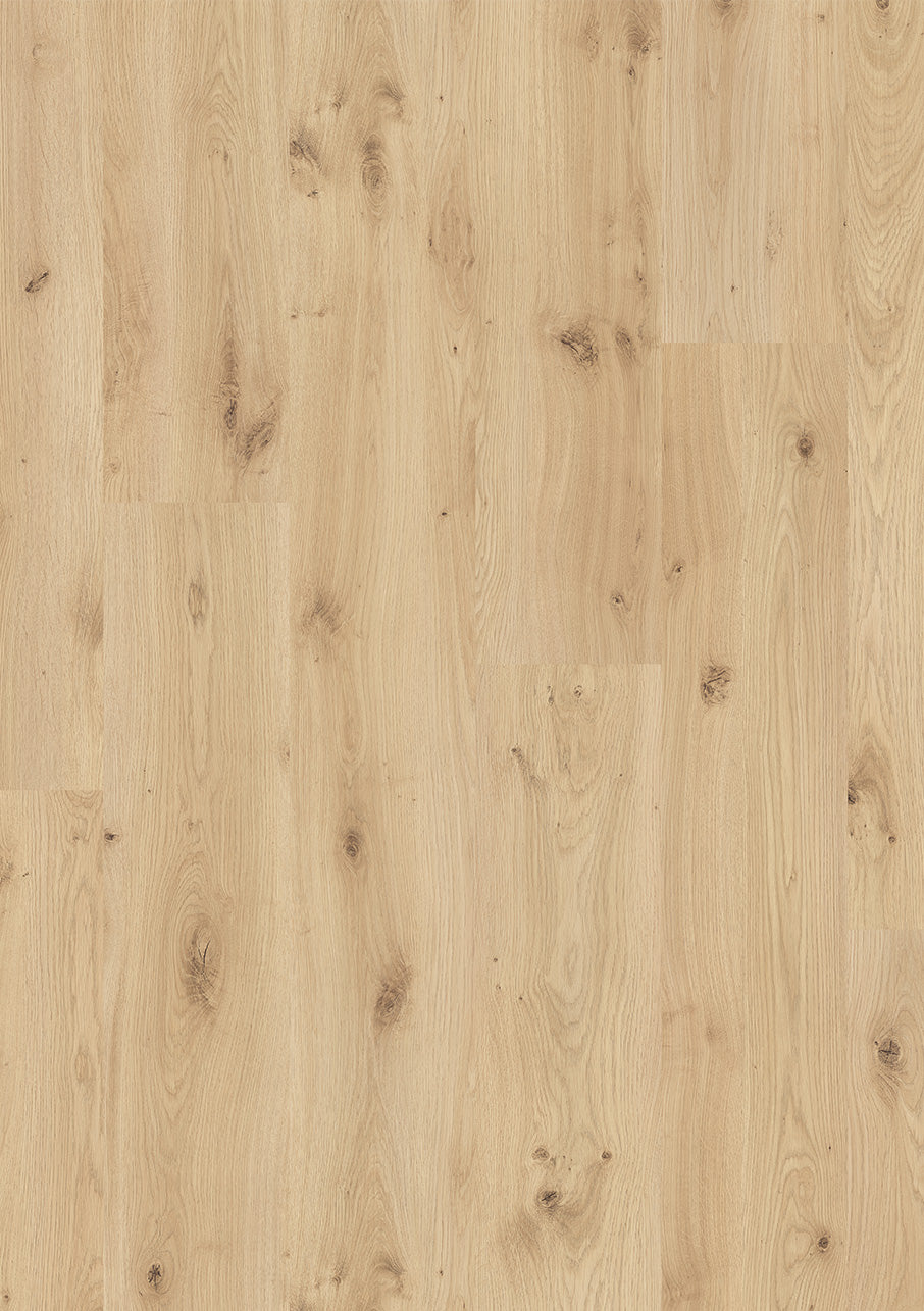 Camel Oak Beige